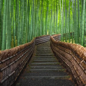 Explore Spirit of Japan for 7 days with TruTravels and discover unforgettable experiences - Photo 5