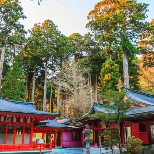 Explore Spirit of Japan for 7 days with TruTravels and discover unforgettable experiences - Photo 6