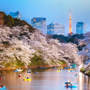 Explore Spirit of Japan for 7 days with TruTravels and discover unforgettable experiences - Photo 8