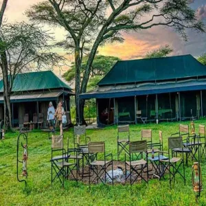 Explore Looking for a 6-Day Exclusive Mid-Range Private Safari to Witness the South Serengeti Migration from Zanzibar? Here’s Your Perfect Serengeti Safari Plan to Start! for 6 days with Africa Natural Tours and discover unforgettable experiences - Photo 8