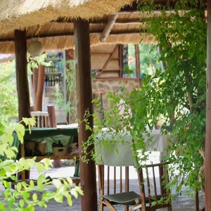 Explore Get Ready to Discover the Very Best 5-Day Private Budget Safari from Zanzibar to Selous, Mikumi & Udzungwa in Tanzania for 5 days with Africa Natural Tours and discover unforgettable experiences - Photo 5