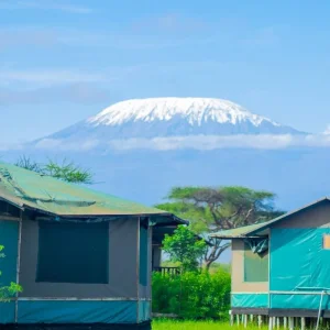 Explore Discover the World-Class 8-Day Group Budget Safari Adventure (Safari Van) from Nairobi, Kenya for 8 days with Africa Natural Tours and discover unforgettable experiences - Photo 8