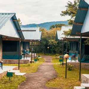 Explore Discover the World-Class 8-Day Group Budget Safari Adventure (Safari Van) from Nairobi, Kenya for 8 days with Africa Natural Tours and discover unforgettable experiences - Photo 10