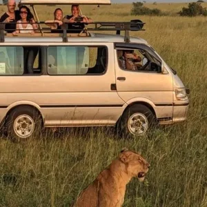 Explore Discover the World-Class 8-Day Group Budget Safari Adventure (Safari Van) from Nairobi, Kenya for 8 days with Africa Natural Tours and discover unforgettable experiences - Photo 11