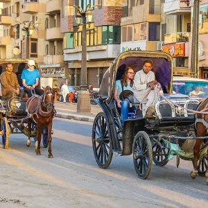 Explore 7 Days Tailor-Made Best Egypt Tours with 5 Stars Hotel, Private Guide and Driver for 7 days with Agate Travel and discover unforgettable experiences - Photo 7