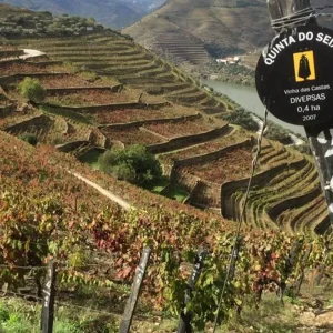 Explore Best of Portugal Singles Vacation for 10 days with Best Single Travel and discover unforgettable experiences - Photo 2