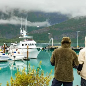 Explore Alaska Glacier Singles Cruise for 8 days with Best Single Travel and discover unforgettable experiences - Photo 3