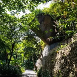 Explore Discover Borneo and Malaysia - Orangutans & More for 10 days with Best Single Travel and discover unforgettable experiences - Photo 4