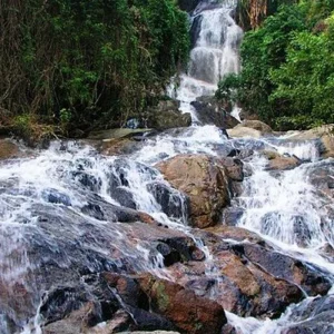 Explore Southeast Asia Immersion Singles Cruise for 13 days with Best Single Travel and discover unforgettable experiences - Photo 4