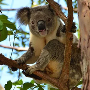 Explore San Diego, CA Weekend for 5 days with Best Single Travel and discover unforgettable experiences - Photo 5