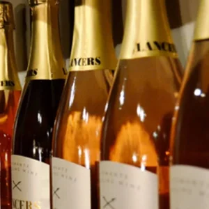 Explore Best of Portugal Singles Vacation for 10 days with Best Single Travel and discover unforgettable experiences - Photo 5