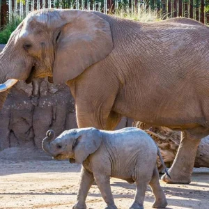 Explore San Diego, CA Weekend for 5 days with Best Single Travel and discover unforgettable experiences - Photo 8