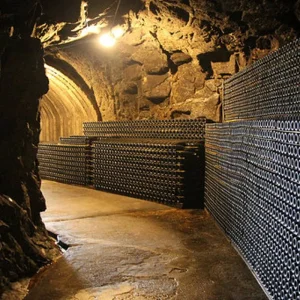 Explore Best of Portugal Singles Vacation for 10 days with Best Single Travel and discover unforgettable experiences - Photo 8