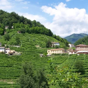 Explore Cycling the Prosecco Hills and Vineyards - Classic Self-Guided for 8 days with BikesPlus Travel and discover unforgettable experiences - Photo 10