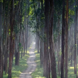 Explore Enchanting Karnataka and Kerala for 13 days with GeTS Holidays and discover unforgettable experiences - Photo 2