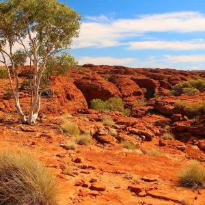 Explore Red Centre Highlights (Superior With B B Q, Short Break) for 4 days with AAT Kings and discover unforgettable experiences - Photo 2