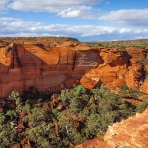 Explore Red Centre Highlights (Superior With B B Q, Short Break) for 4 days with AAT Kings and discover unforgettable experiences - Photo 3