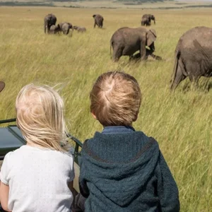 Explore Experience Tanzania Safari in 5 Days: Your Guide to Tanzania’s Premium Mid-Range Family Safari from Arusha for 5 days with Africa Natural Tours and discover unforgettable experiences - Photo 6