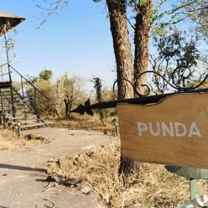 Explore Experience Tanzania Safari in 5 Days: Your Guide to Tanzania’s Premium Mid-Range Family Safari from Arusha for 5 days with Africa Natural Tours and discover unforgettable experiences - Photo 7