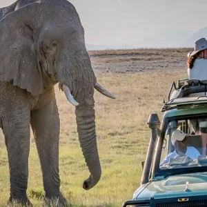 Explore Discover Masai Mara in Just 3 Days | The Luxury Masai Mara Fly-in Safari Package from Nairobi | Premium Safari for 3 days with Africa Natural Tours and discover unforgettable experiences - Photo 6