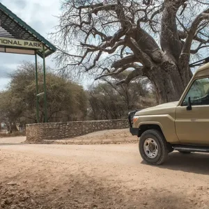 Explore Explore Tanzania in 6 Days: The Best Mid-Range Family Safari Experience from Arusha, Tanzania for 6 days with Africa Natural Tours and discover unforgettable experiences - Photo 10