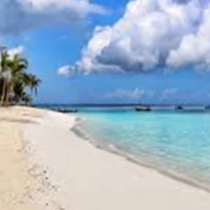 Explore Enjoy a Private Half-Day Guided Adventure to Kendwa Beach from Pwani Mchangani, Zanzibar for 1 days with Africa Natural Tours and discover unforgettable experiences - Photo 4