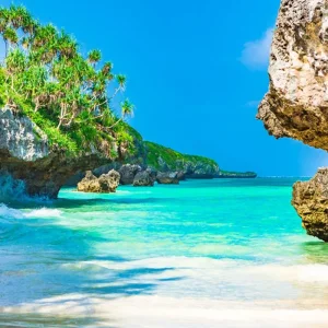 Explore Plan Your First Trip to Zanzibar With Our Best-Rated 1/2 Day Exclusive Semi Submarine Cruise Tour in Zanzibar from Nungwi 2025/2026 – The Ultimate Guide for 1 days with Africa Natural Tours and discover unforgettable experiences - Photo 4