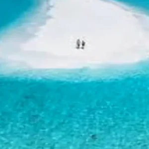 Explore Discover Our All-Inclusive 1 Day Private Nakupenda Sandbank Tour in Zanzibar from Kizimkazi for 3 days with Africa Natural Tours and discover unforgettable experiences - Photo 6