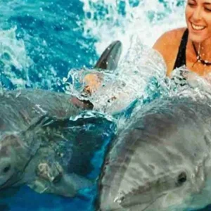 Explore Explore Our 1-Day Private Jozani Forest & Dolphin Tour from Uroa, Zanzibar | The Best Guided & Tailor-Made Zanzibar Experience for 1 days with Africa Natural Tours and discover unforgettable experiences - Photo 6