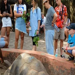 Explore Plan to Book the Best 1/2 Day Private Changuu Island Tour Package in Zanzibar from Chwaka for 1 days with Africa Natural Tours and discover unforgettable experiences - Photo 5