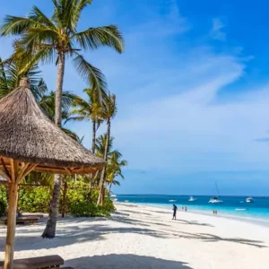 Explore Enjoy a Private Half-Day Guided Adventure to Kendwa Beach from Pwani Mchangani, Zanzibar for 1 days with Africa Natural Tours and discover unforgettable experiences - Photo 6