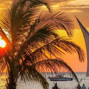 Explore Experience Our 1/2 Day Private Kendwa Beach Adventure in Zanzibar from Nungwi for 1 days with Africa Natural Tours and discover unforgettable experiences - Photo 4