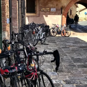 Explore Classic Tuscany - Cycling from Florence to Pisa - Classic Self Guided for 8 days with BikesPlus Travel and discover unforgettable experiences - Photo 3