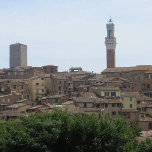 Explore Postcard Southern Tuscany - Cycling Cortona, Montalcino, Siena - Classic Self Guided for 9 days with BikesPlus Travel and discover unforgettable experiences - Photo 5