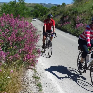 Explore Cycling Italy's Art Cities from Venice to Florence - Classic self guided for 8 days with BikesPlus Travel and discover unforgettable experiences - Photo 5