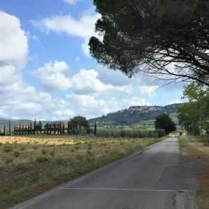 Explore Classic Tuscany - Cycling from Florence to Pisa - Classic Self Guided for 8 days with BikesPlus Travel and discover unforgettable experiences - Photo 5