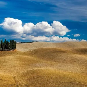 Explore Postcard Southern Tuscany - Cycling Cortona, Montalcino, Siena - Classic Self Guided for 9 days with BikesPlus Travel and discover unforgettable experiences - Photo 7