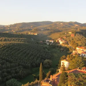 Explore Cycling Italy's Art Cities from Venice to Florence - Classic self guided for 8 days with BikesPlus Travel and discover unforgettable experiences - Photo 8