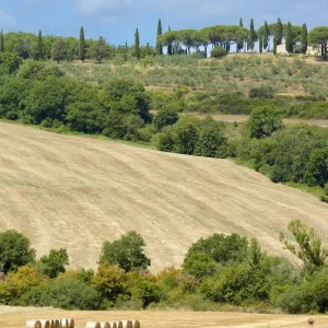 Explore Classic Tuscany - Cycling from Florence to Pisa - Classic Self Guided for 8 days with BikesPlus Travel and discover unforgettable experiences - Photo 8