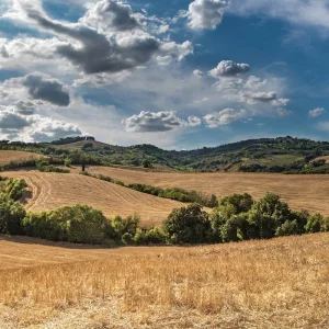 Explore Postcard Southern Tuscany - Cycling Cortona, Montalcino, Siena - Classic Self Guided for 9 days with BikesPlus Travel and discover unforgettable experiences - Photo 9