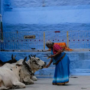 Explore Four-Day Private Luxury Golden Triangle Tour to Agra and Jaipur From New Delhi for 4 days with Coxan Tours and discover unforgettable experiences - Photo 6