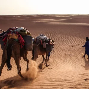 Explore Morocco Desert Camel Trek: 4-Day Sahara Experience for 4 days with Desertbrise Travel and discover unforgettable experiences - Photo 11