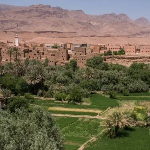 Explore Desert & Imperial Cities of Morocco – 8 Day for 8 days with Desertbrise Travel and discover unforgettable experiences - Photo 6