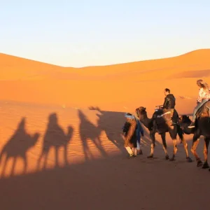 Explore 7-Day Morocco Desert & Mountain Adventure Tour for 7 days with Desertbrise Travel and discover unforgettable experiences - Photo 7