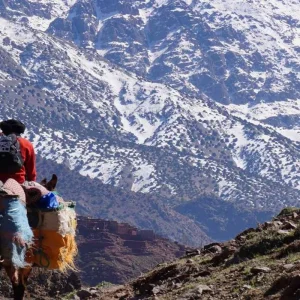 Explore 7-Day Morocco Desert & Mountain Adventure Tour for 7 days with Desertbrise Travel and discover unforgettable experiences - Photo 11