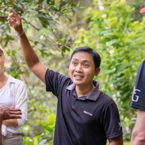 Explore Discover Indonesia: 13 Days in Jakarta, Yogyakarta, Bali, Gili Trawangan and Lombok Tour for 13 days with Discova and discover unforgettable experiences - Photo 4