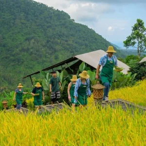 Explore 10 Day Bali Escape: Temples, Serene Nature and Organic Cuisine Experiences for 10 days with Discova and discover unforgettable experiences - Photo 5