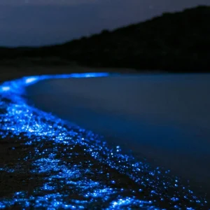 Explore Discover Thailand: 11 Days in Bangkok, Chiang Mai and Phuket for 11 days with Discova and discover unforgettable experiences - Photo 5