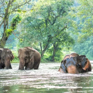 Explore Discover Thailand: 11 Days in Bangkok, Chiang Mai and Phuket for 11 days with Discova and discover unforgettable experiences - Photo 7