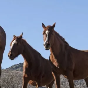 Explore Catalunya North Gravel Self-Guided for 5 days with Eat Sleep Cycle and discover unforgettable experiences - Photo 2